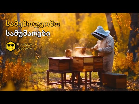 საშემოდგომო სამუშაოები – (სექტემბერი 2022)